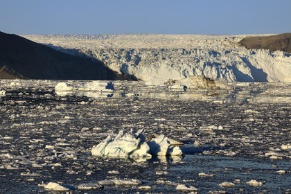 Groenland, cote ouest, baie de Disko, baie de Quervain, le glacier Eqip Sermia (glacier Eqi) s'étale sur 4 km et s'élève jusqu'à 50 mètres de hauteur