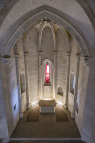 France, Bouches du Rhone, Tarascon, King René's castle dating from the 15th century, lower chapel or chapel of the Virgin