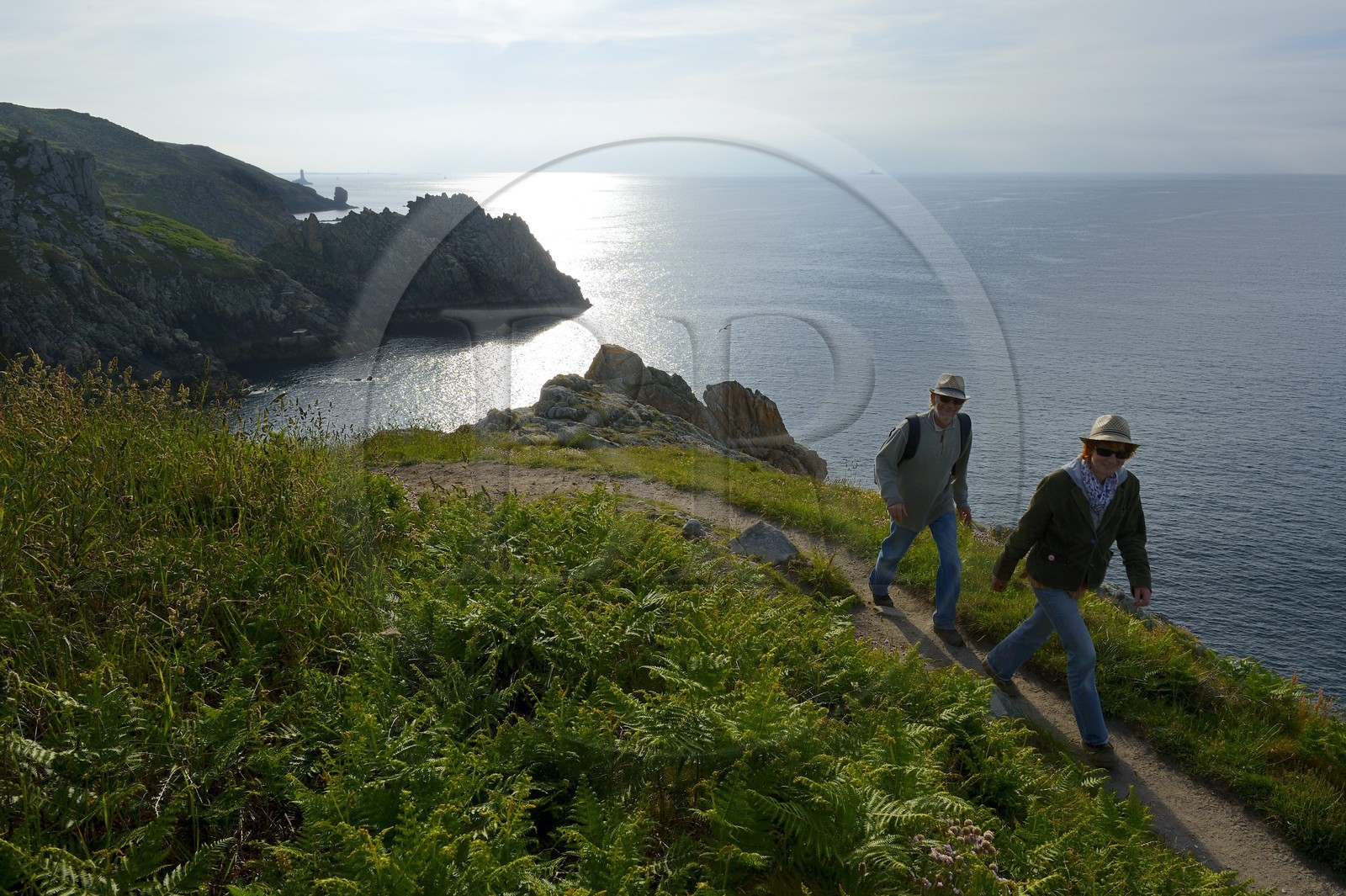 France, Finistère (29), Mer d'Iroise, Plogoff, Pointe du Raz, sentier du GR 34