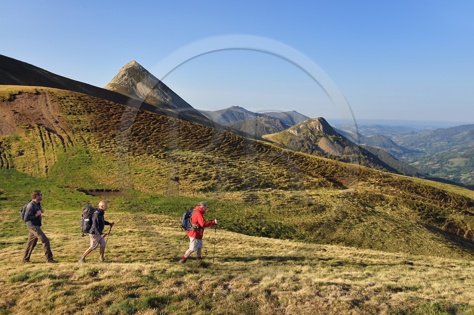 France, Cantal (15), Parc Naturel Régional des Volcans d'Auvergne, Le Lioran, col de Rombière surplombant la vallée de la Jordanne, randonneurs sur le chemin de Saint-Jacques de Compostelle par la Via Arverna, en arrière plan le Puy Griou émergeant à gauche et le Griounou à sa droite