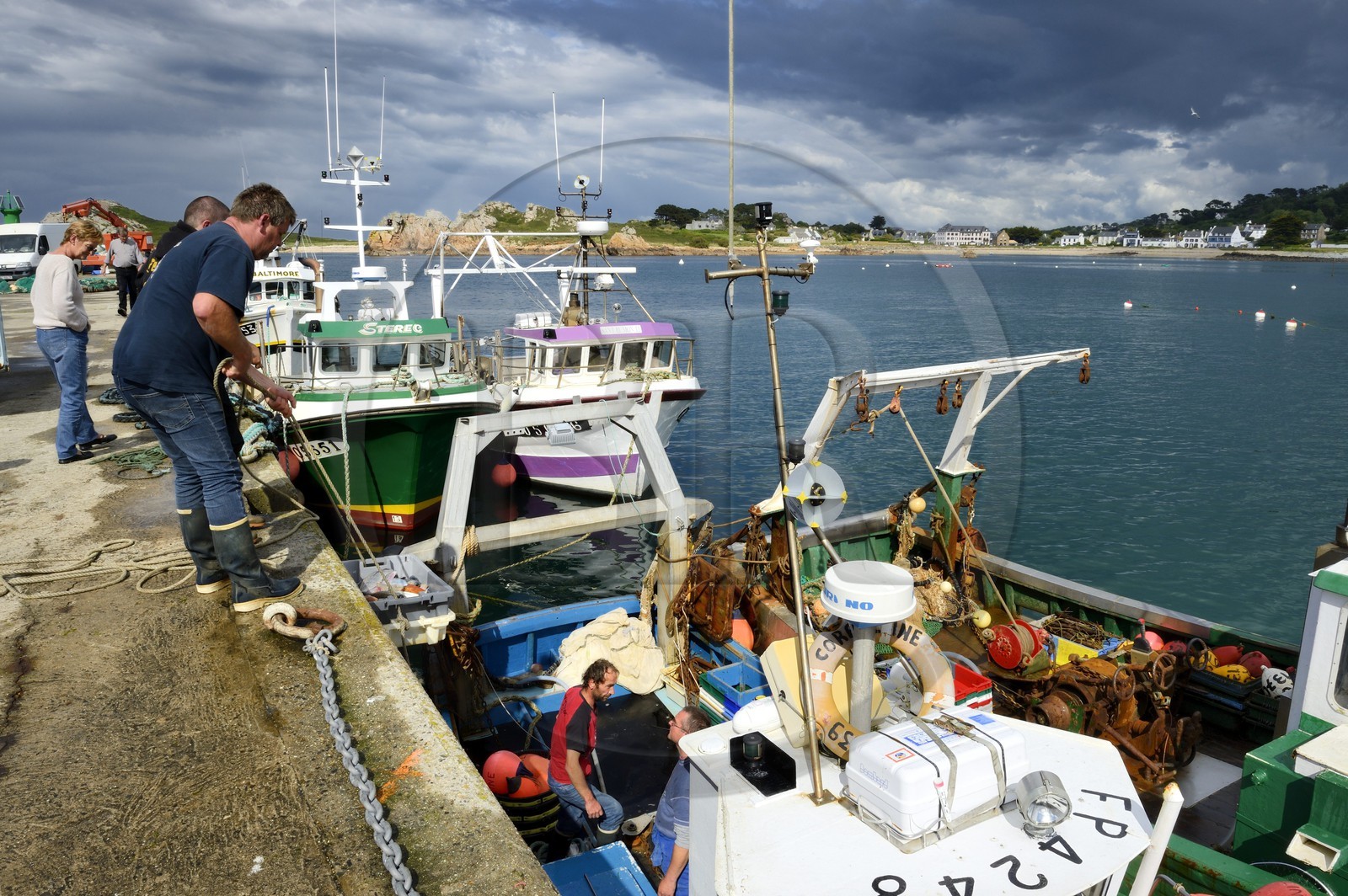 France, Finistère (29), Plougasnou, retour de pêche des chalutiers au port du Diben