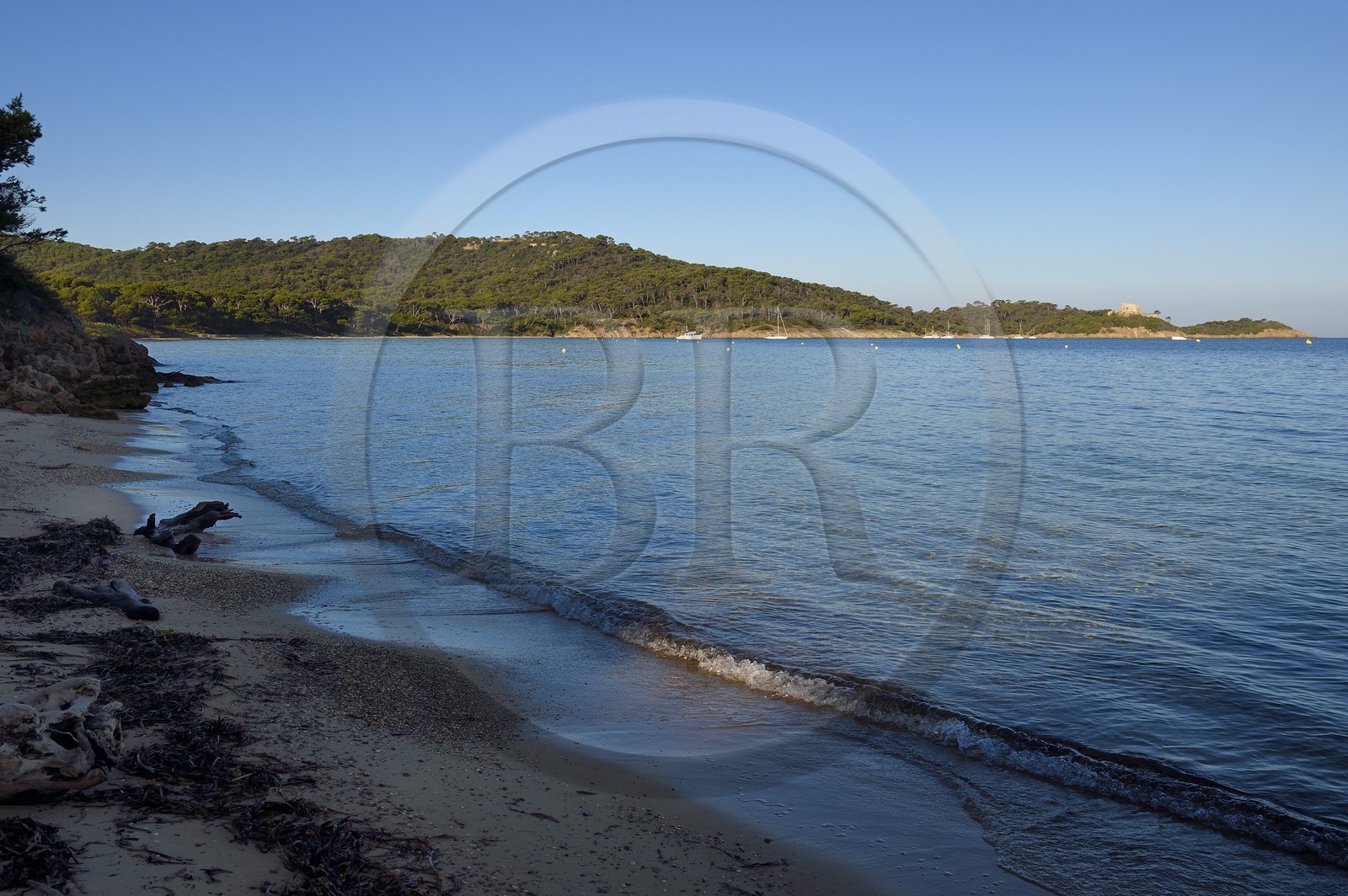 France, Var (83), Iles d'Hyères, parc national de Port Cros, Ile de Porquerolles, Baie de  l'Alycastre, plage Notre-Dame et le Fort de l'Alycastre en arrière plan