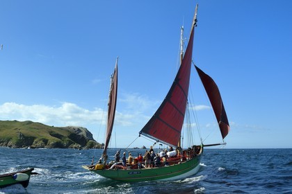 France, Côtes-d'Armor (22), Perros-Guirec, archipel et réserve ornithologique de Sept-Iles,  le voilier traditionnel Sant C'hireg (Saint Guirec) devant l'Ile Rouzic, colonie de fous de Bassan (Morus bassanus)