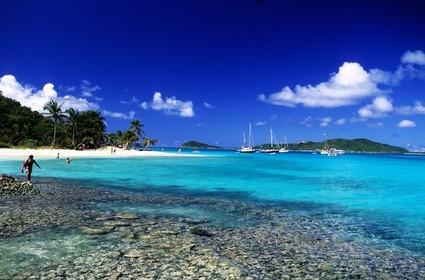Caribbean sea, St Vincent and the Grenadines, Tobago Cays archipelago, beach of one of many uninhabited island