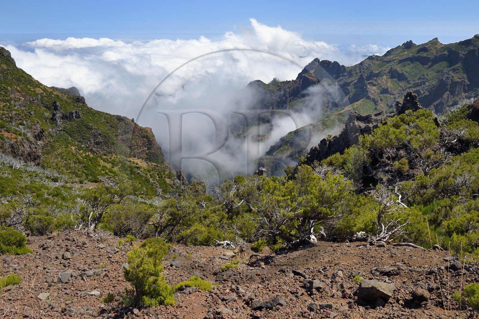 Portugal, Ile de Madère, randonnée sur le Vereda do Areeiro entre les monts Pico Ruivo (1862m) et Pico Arieiro (1817m), le Pico das Torres en arrière plan