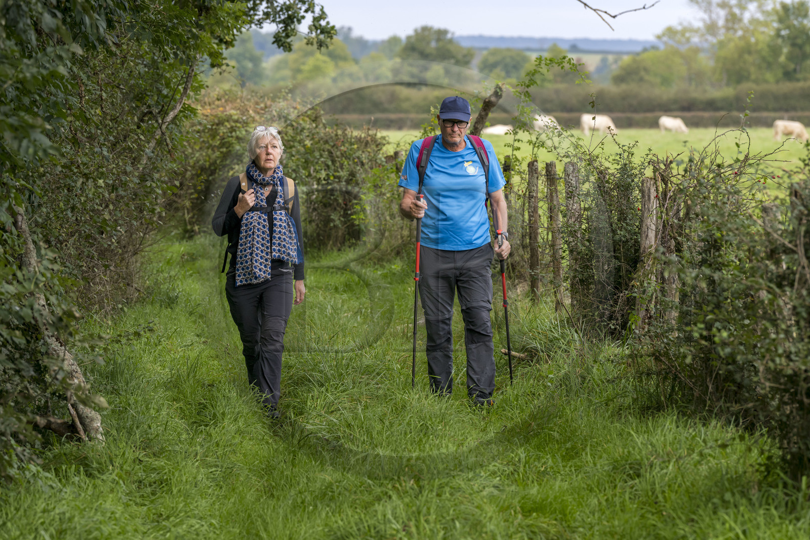 France, Yonne (89), Montréal (Bourgogne), randonneurs sur un chemin le long de la rivière Serein