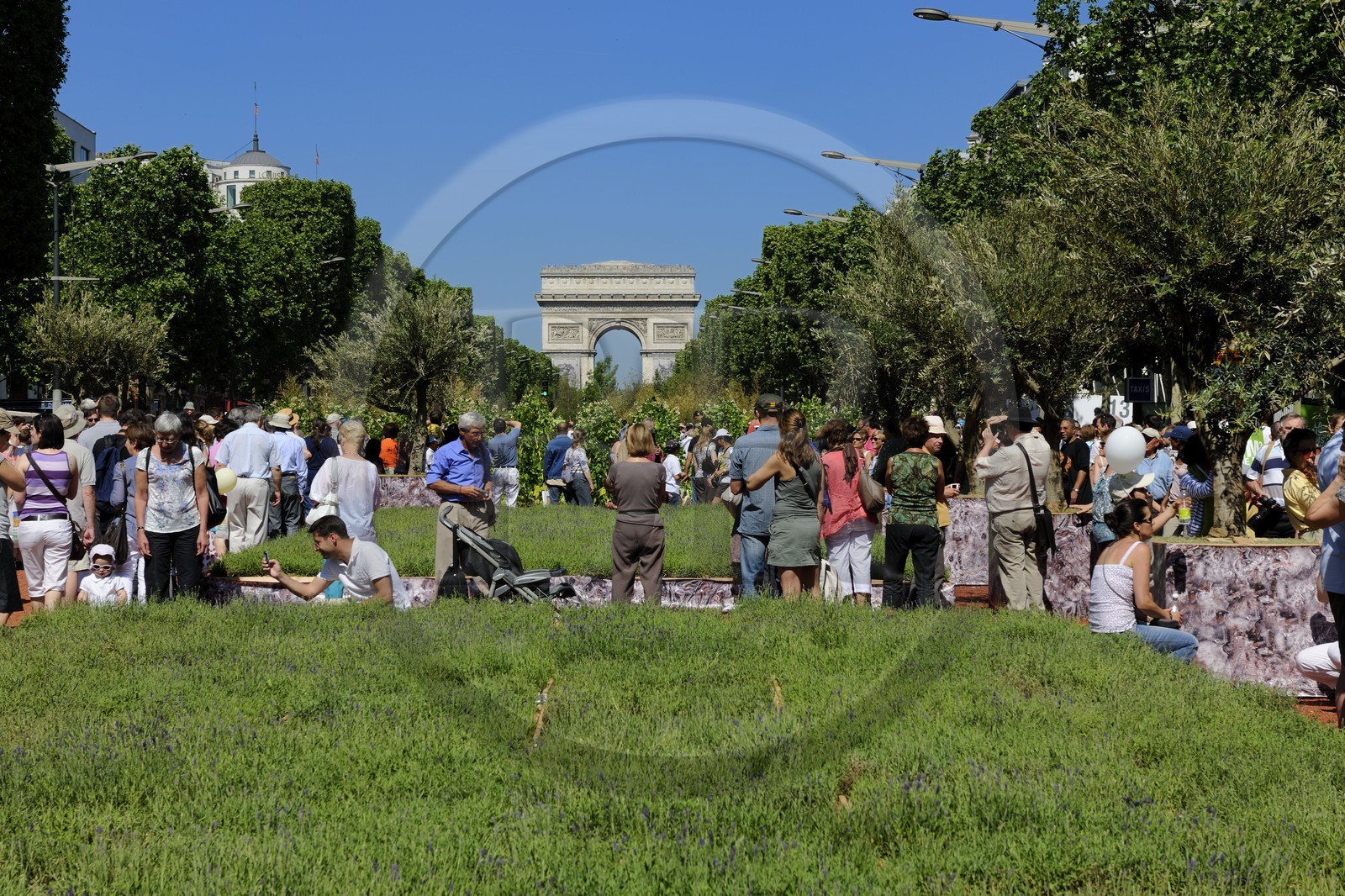 France, Paris (75), opération Nature Capitale 2010 sur les Champs-Elysées