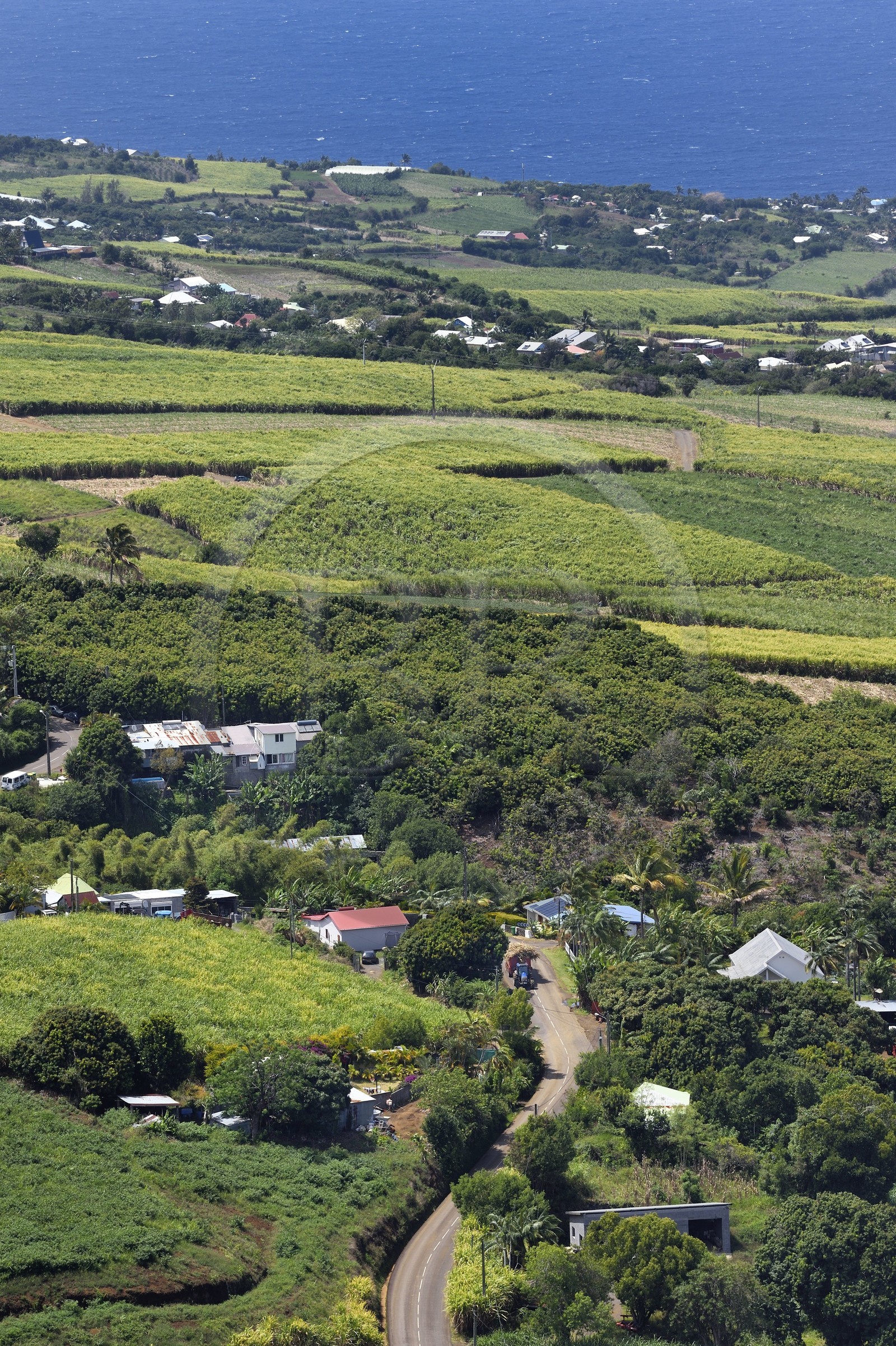 France, Ile de la Reunion, Petite Ile, champs de cannes à sucre vers Anse-les Bas vus depuis le piton de Mont Vert