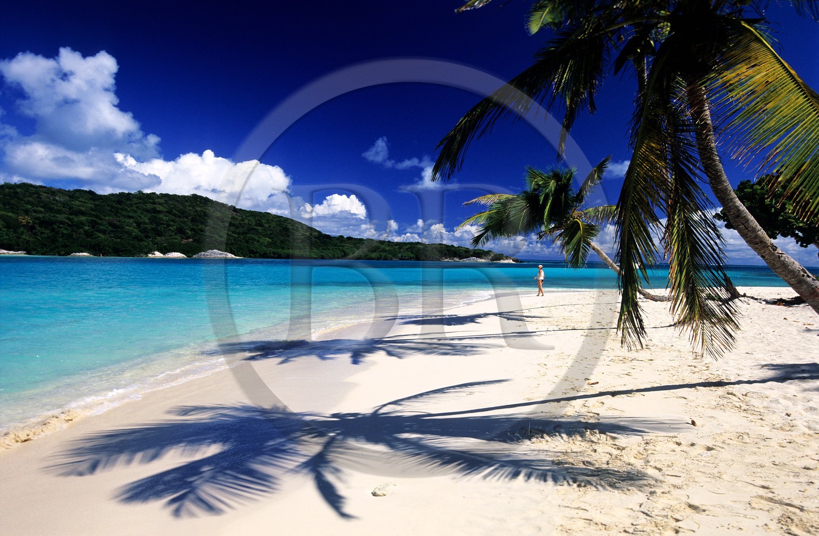 Caraïbes, Saint-Vincent et les Grenadines, archipel des Tobago Cays, plage d'une petite île inhabitée
