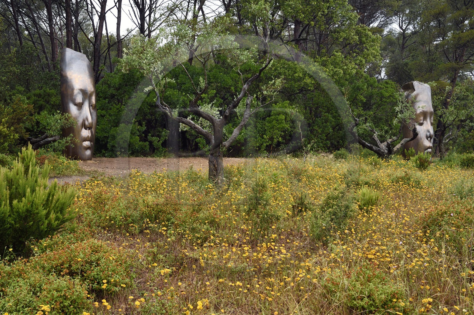 France, Var (83), Iles d'Hyères, parc national de Port Cros, Ile de Porquerolles, la Fondation Carmignac, deux sculptures de Les trois alchimistes de Jaume Plensa