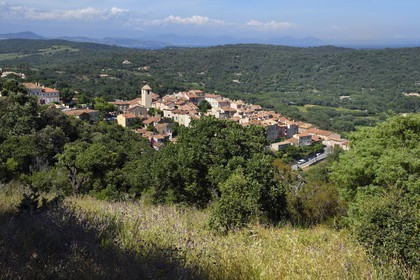 France, Var, Presqu'ile de Saint-Tropez, Ramatuelle,