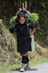 Vietnam, Lao Cai province, Sapa district, Ta Phin valley,  woman from the Black Hmong minority group