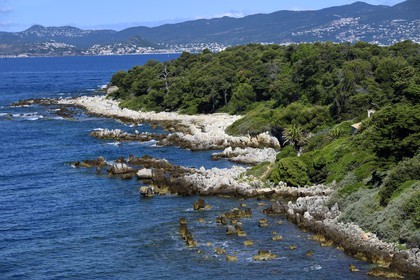 France, Alpes-Maritimes, Lerins Islands, Saint-Honorat island,