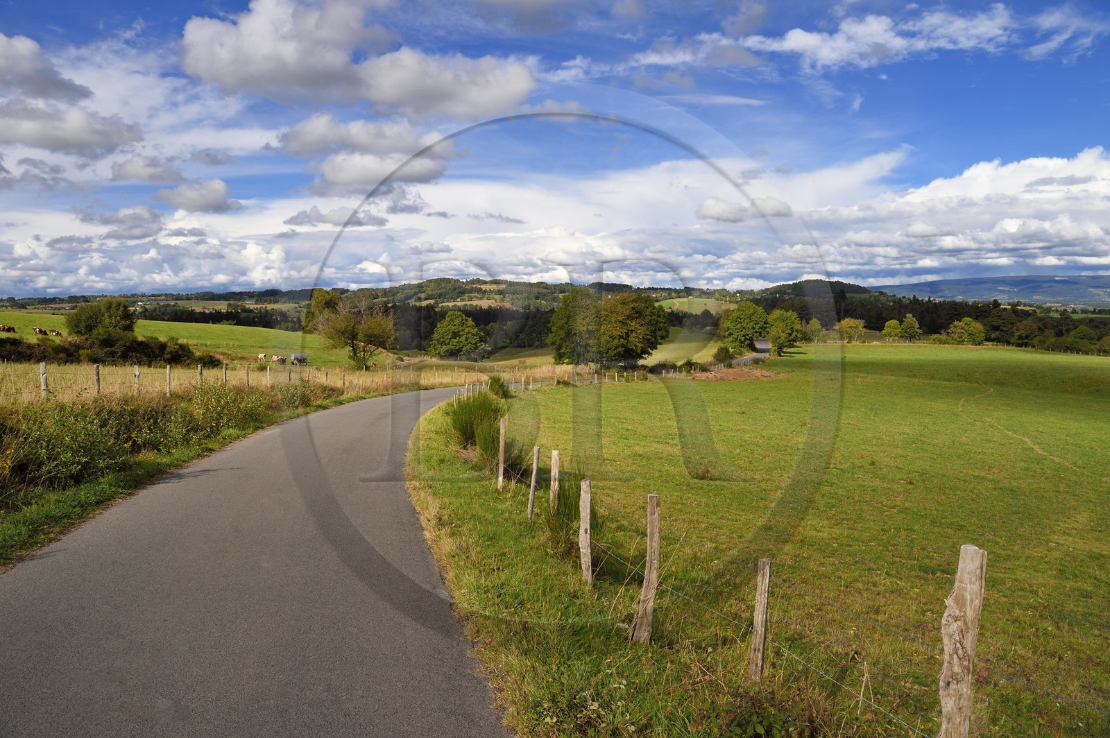 France, Cantal (15), Alleuze, route de campagne en direction d'Alleuze sur les hauteurs de la vallée de la Truyère