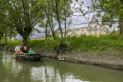 France, Vendée (85), Parc Interrégional du Marais Poitevin labellisé Grand Site de France, Maillezais, batelier effectuant une promenade en barque sur les affluents de l'Autise, les vestiges de l'abbaye Saint-Pierre de Maillezais en arrière plan