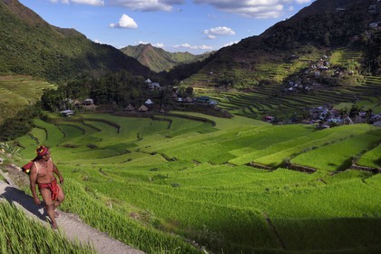 Philippines, Ifugao province, Banaue rice terraces around the village of Batad, listed as World Heritage by UNESCO, the guide Adolpho coated in the traditional Ifugao costume