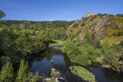 France, Haute-Loire (43), Goudet, Beaufort castle built around 1200 overlooks the Loire Valley, hiking with a donkey on the Robert Louis Stevenson Trail (GR 70)