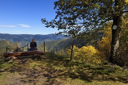 France, Haut-Rhin (68), Parc naturel régional des ballons des Vosges, Storckensohn, montagne de La Tête des Perches, la chaume de Gazon vert, vue sur la vallée de Storckensohn à l'ouest de Fellering