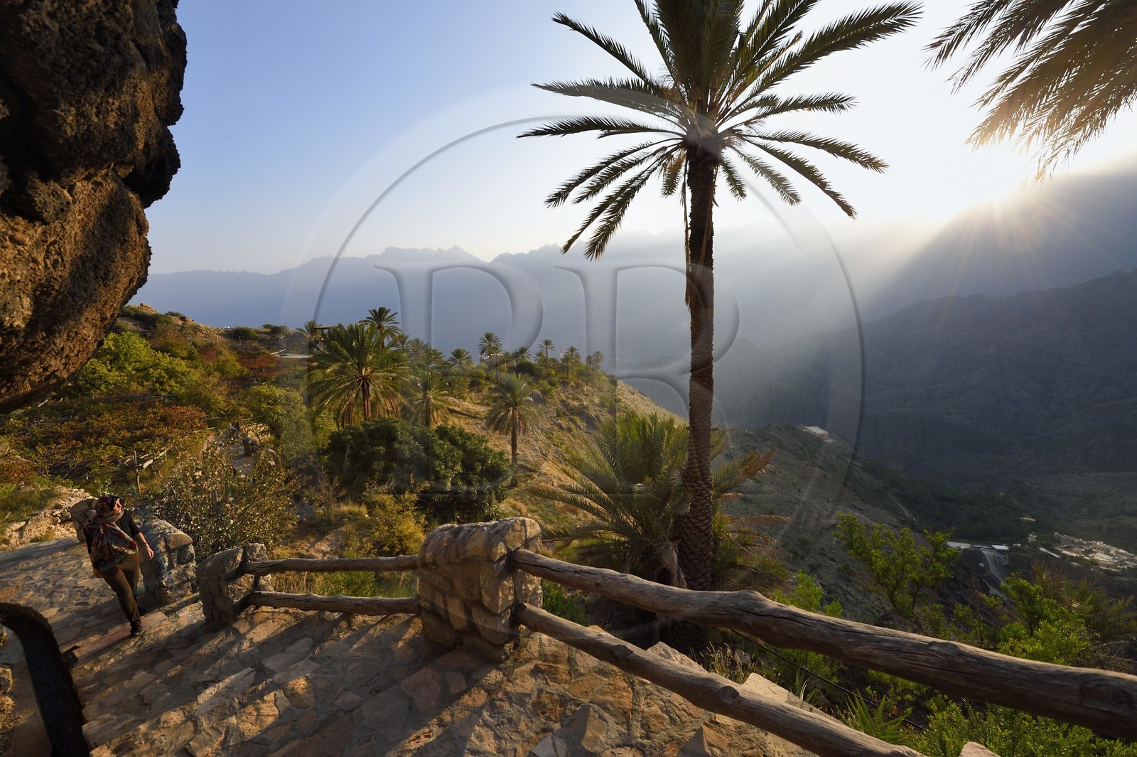 Sultanat d'Oman, Gouvernorat d'Al-Batina du Sud, Hajar occidental, Wadi Mistall, village de Wakan (Wukan), le sentier de randonnée comprenant 700 marches monte à travers les jardins en terrasses et le long de canaux d'irrigation