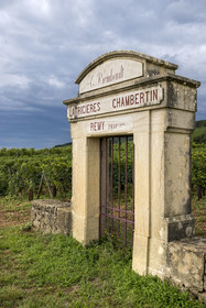 France, Côte-d'Or (21), Paysage culturel des climats de Bourgogne classés Patrimoine Mondial de l'UNESCO, Route des Grands Crus, vignoble de la Côte de Nuits, Gevrey-Chambertin, porte d'une parcelle
