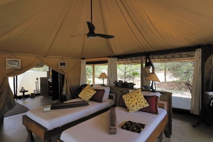 Tanzania, Selous Game Reserve is one of the largest fauna reserves of the world and designated a UNESCO World Heritage Site in 1982, the very exclusive Selous Camp, one of the 13 vast luxury tents raised onto wooden platforms with palm canopies