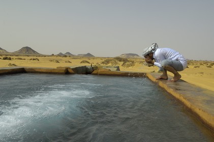 Egypte, Basse-Egypte, désert libyque, oasis de Bahariya (Bahareyya),  source d'eau chaude