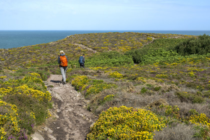 France, Côtes d'Armor (22), Grand Site de France Cap d'Erquy – Cap Fréhel, Erquy, randonneurs au dessus de  l'Anse de Port-Blanc sur le chemin de Grande Randonnée GR 34