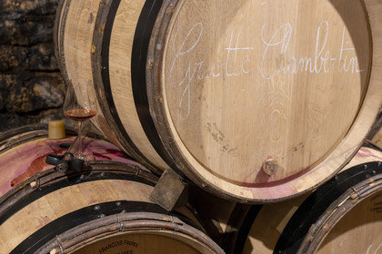 France, Cote d'Or, cultural Landscape of the climates of Burgundy listed as World Heritage by UNESCO, Route des Grands Crus (road of Vintage Wines), vineyard of the Côte de Nuits, Gevrey Chambertin, Domaine Dugat, the former Tithe Cellar of the Bishops of Langres where the barrels are stored, barrel of Griotte Chambertin