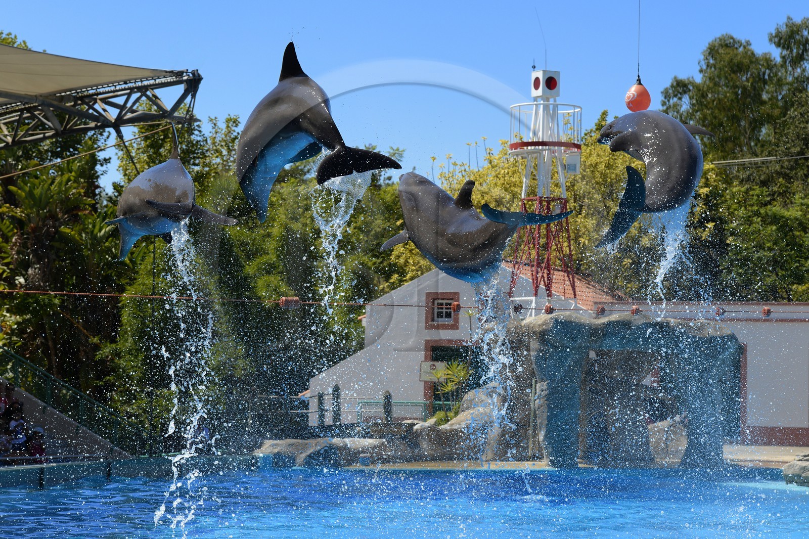 Portugal, Lisbonne, Jardin zoologique, le delphinarium, dauphins faisant le spectacle Portugal, Lisbonne, Jardin zoologique, le delphinarium, dauphins faisant le spectacle
