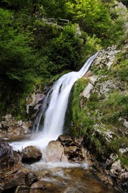 Germany, Black Forest, Schwarzwald, Baden-Württemberg, waterfalls of Allerheiligen convent (All Saints)