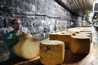 France, Cantal (15), La Chapelle-Laurent, cave d'affinage pour les fromages Marcel Charrade dans l'ancien tunnel ferroviaire de la ligne Saint-Flour - Brioude long d’un kilomètre, l'affineur Gautier Bouchet pratique le retournement des meules de fromage Cantal