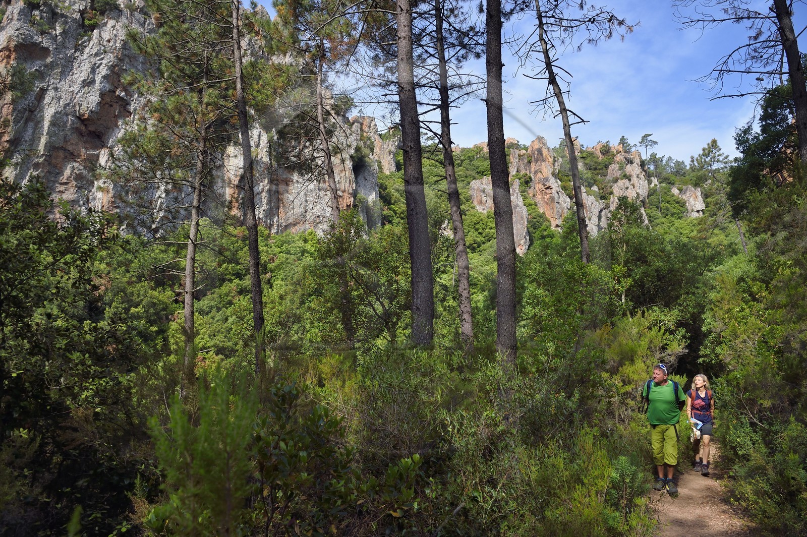 France, Var (83), entre Bagnols-en-Forêt et Roquebrune-sur-Argens, randonnée dans les Gorges du Blavet