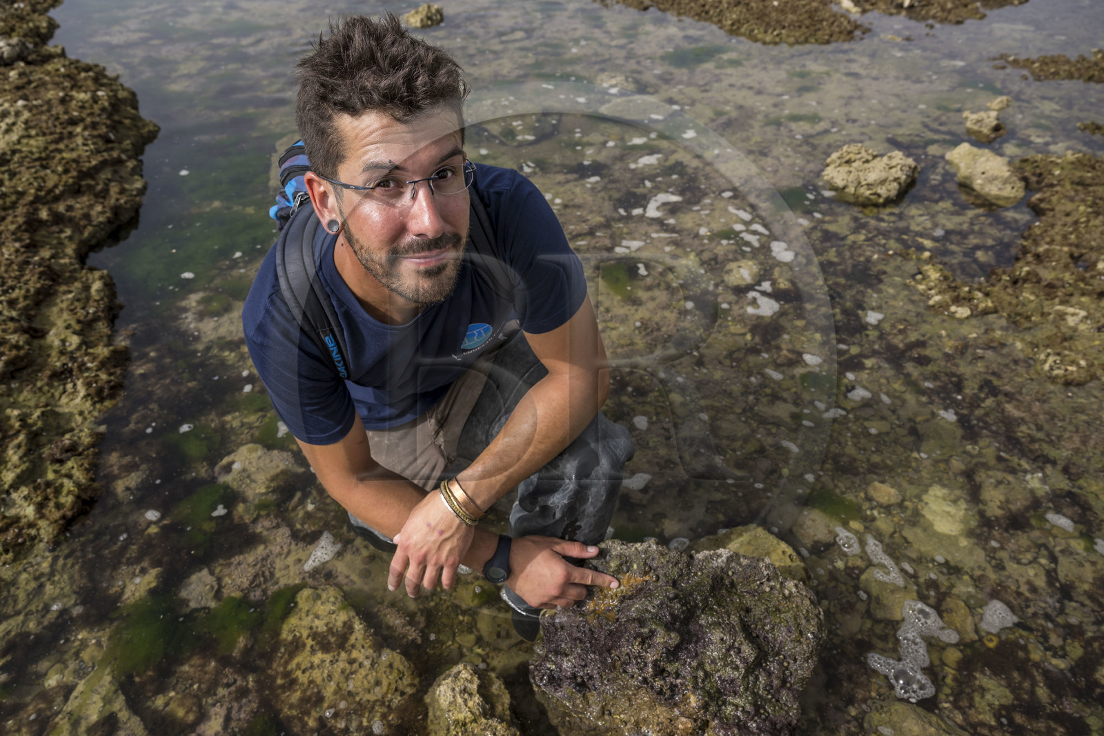 France, Charente-Maritime (17), Ile d'Oléron, Saint-Georges-d'Oléron, sur l’estran de la plage des Sables Vignier à marée basse, Zacharie Gaudin chercheur en physiologie végétale et animateur nature à IODDE