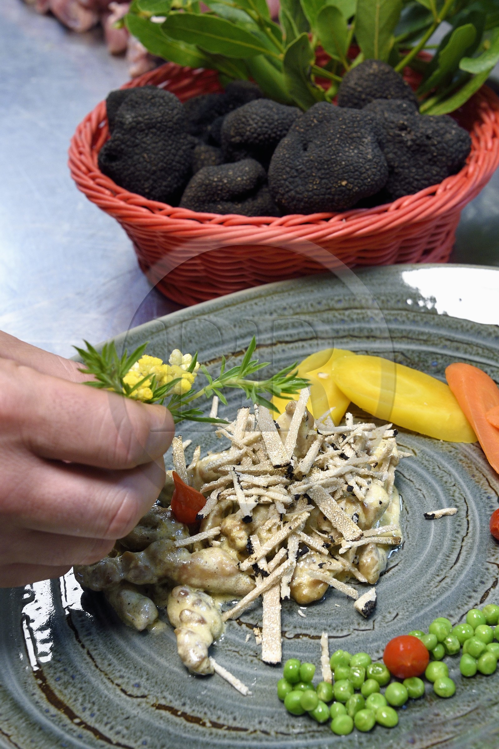 France, Var (83), Aups, restaurant Le Provençal, recette à base de truffes d'été, ris d'agneau à la sauce crème et truffes d'été