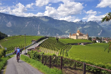 Switzerland, Canton of Vaud, Aigle, the castle surrounded by vineyards, it houses the Museum of Vine and Wine