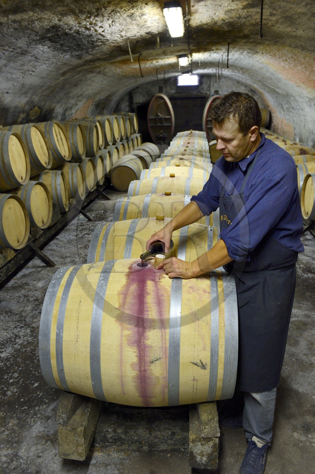 France, Meurthe-et-Moselle (54), Bruley, tonneaux de vin des Côtes de Toul dans les caves du domaine Laroppe, Vincent Laroppe