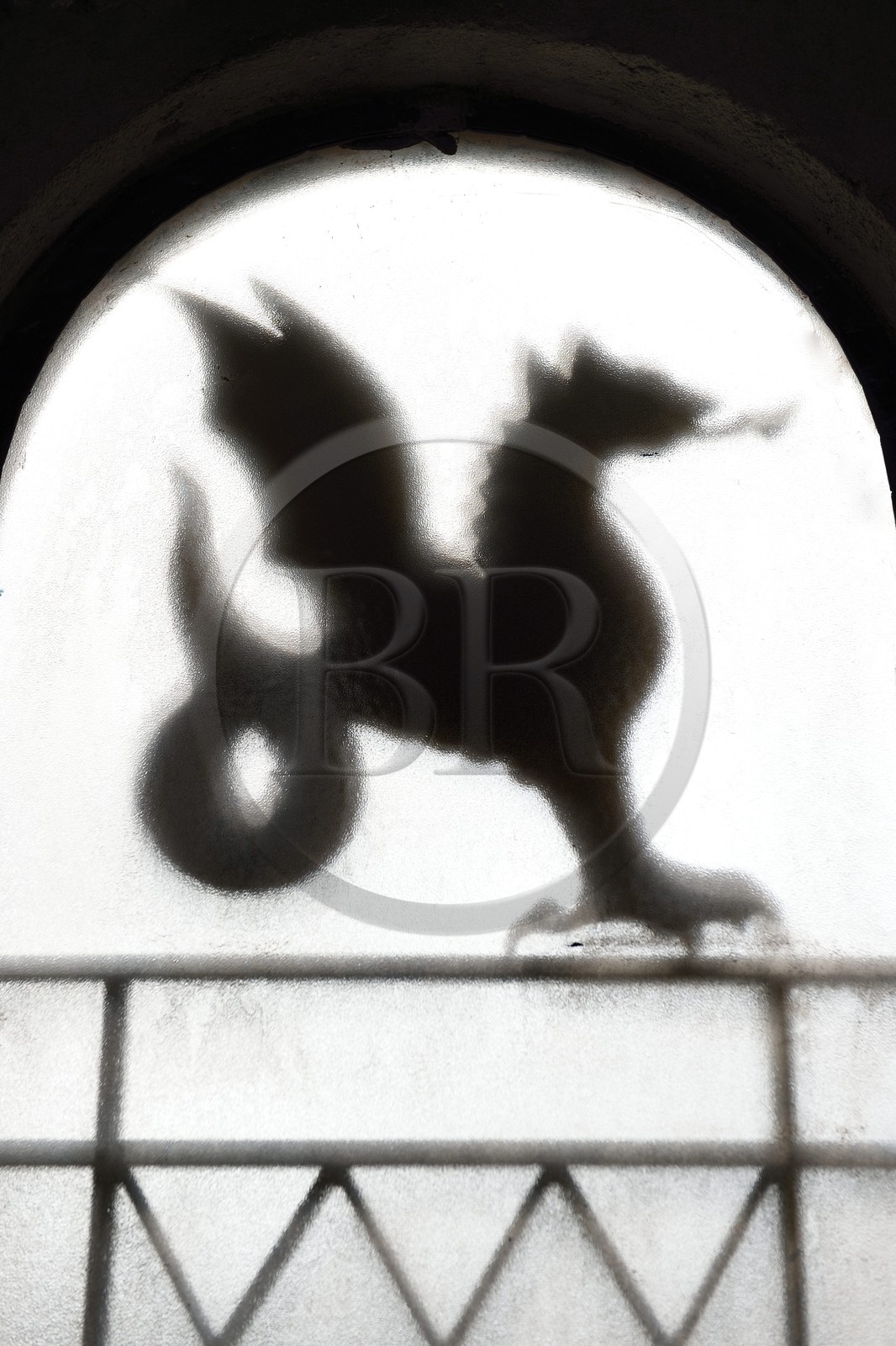France, Var (83), Draguignan, le dragon symbole de la ville à l'Hotel de Ville