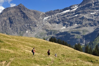 Switzerland, Canton of Vaud, Villars-sur-Ollon, hike from the Bretaye pass to the Croix pass passing through the hamlet of Ensex