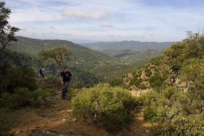 France, Var, Massif des Maures, Collobrières, Lambert menhirs hiking, hiker above the gouffre du Desteou