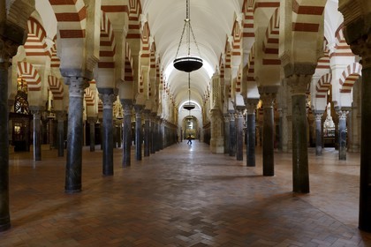 Spain, Andalusia, Cordoba, historical center listed as World Heritage by UNESCO, Mezquita, the Mosque cathedral, the forest of arches and colonnades illustrates the monumentality of the Umayyad Art of Cordoba