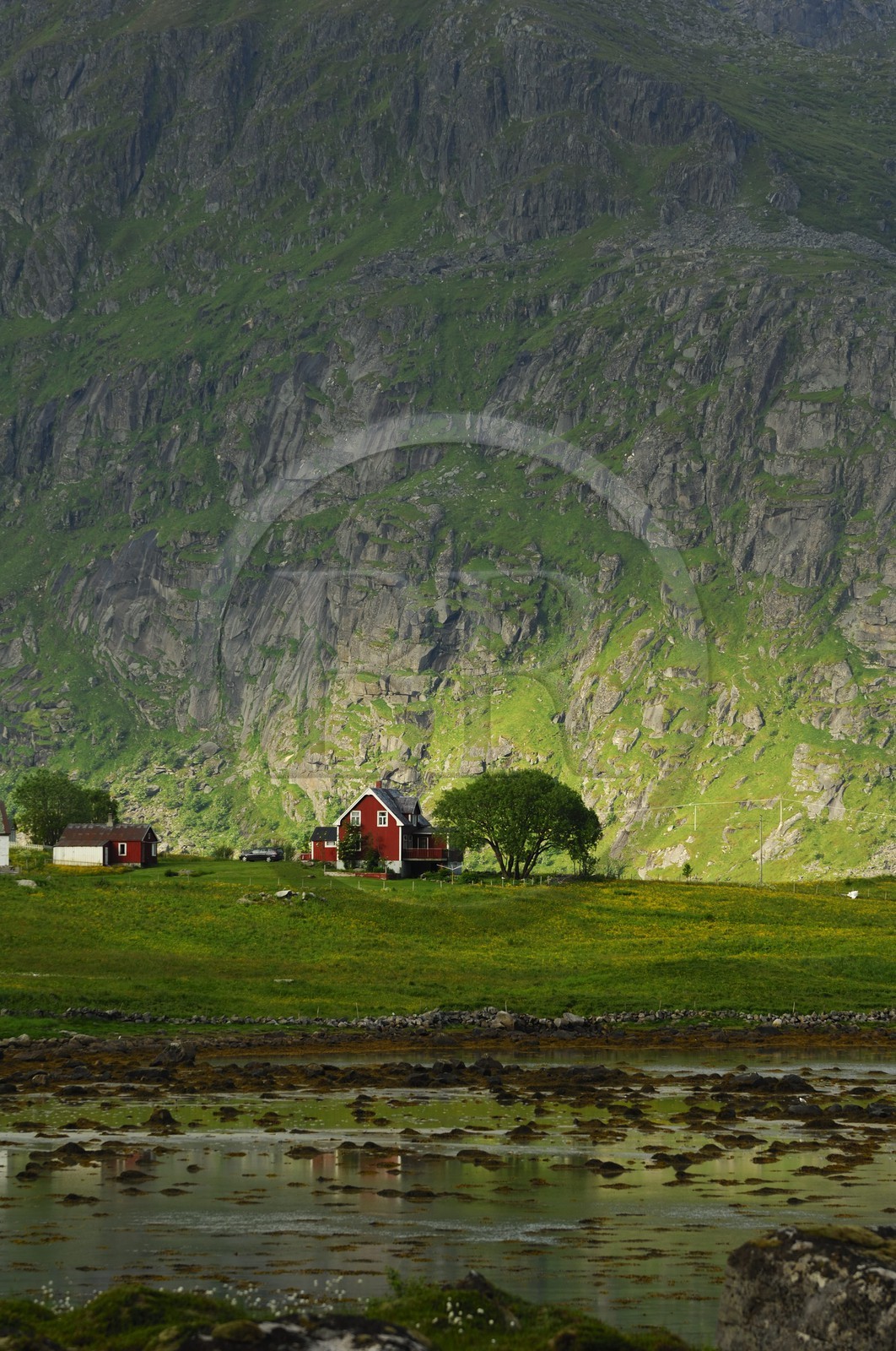 Norvège, Nordland, Iles Lofoten, Ile de Flakstad, petite ferme