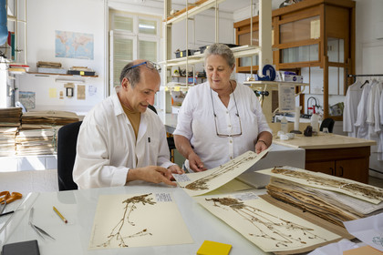 France, Alpes-Maritimes (06), Antibes, Le Jardin Botanique de la Villa Thuret (rattachée à l'INRAE), labellisé Jardin Remarquable et Arbre Remarquable, un des laboratoires de recherche dans la villa, Catherine Ducatillion, la directrice de l'Unité expérimentale, échange avec Bernard Elsair qui travaille sur l'herbier Thuret