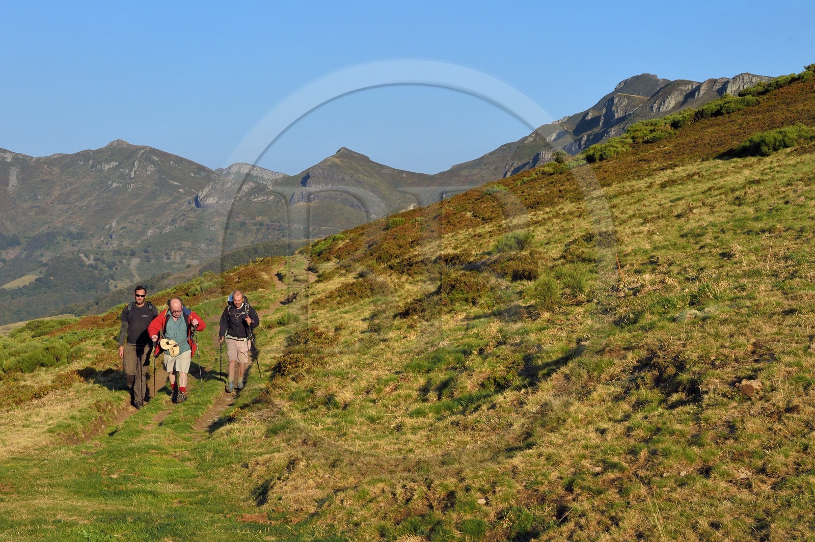 France, Cantal (15), Parc Naturel Régional des Volcans d'Auvergne, Le Lioran, col de Rombière, randonneurs sur le chemin de Saint-Jacques de Compostelle par la Via Arverna, le puy et les Fours de Peyre Arse en arrière plan