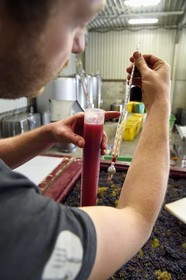 France, Haut Rhin, the Alsace Wine Route, Bergheim, Wine estate Marcel Deiss, fermentation of the grapes in a large tank, mustimeter, densimeter used by winegrowers to evaluate the probable alcohol content of their wine