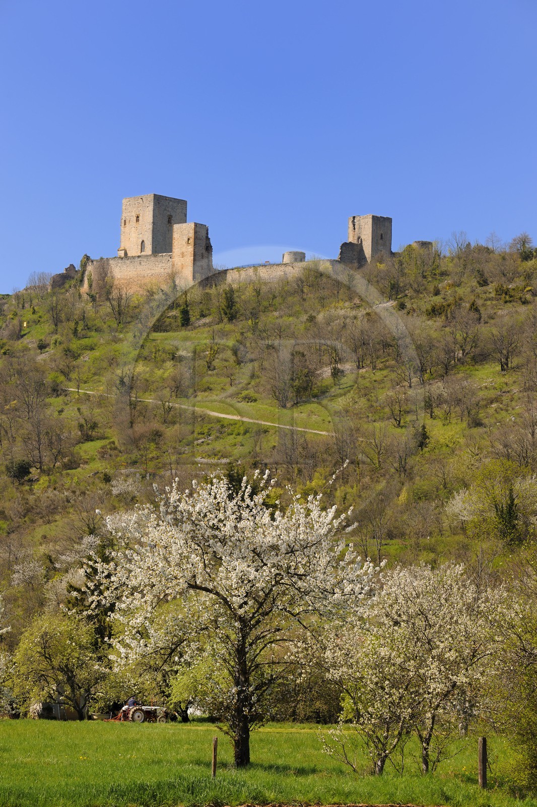 France, Aude, Chateau de Puivert, 12th century Cathar castle..
