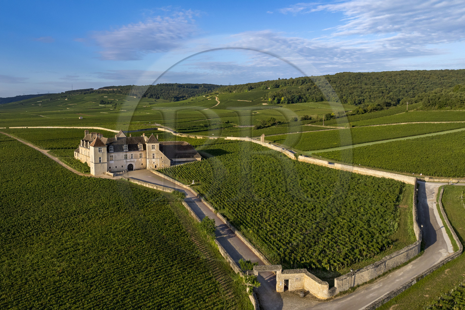 France, Côte-d'Or (21), Paysage culturel des climats de Bourgogne classés Patrimoine Mondial de l'UNESCO, Route des Grands Crus, vignoble de la Côte de Nuits, Vougeot, le Chateau du Clos de Vougeot entouré par le vignoble (vue aérienne)