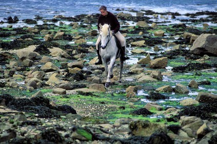France, Côtes-d'Armor (22), cavalière sur la grève de la Côte Sauvage à marée basse