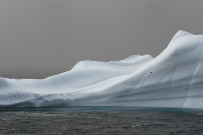 Groenland, cote ouest, baie de Baffin, Upernavik, iceberg dans la brume
