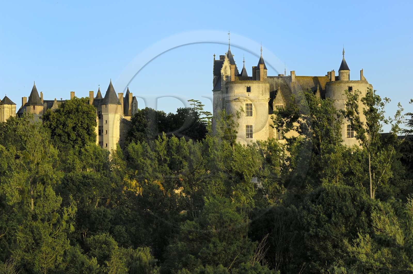 France, Maine et Loire (49), château de Montreuil-Bellay
