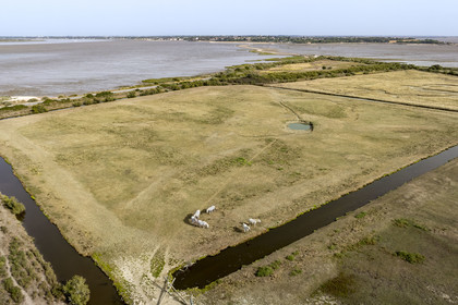 France, Charente Maritime, Port-des-Barques, Ile Madame and the tombolo of Passe aux Boeufs which connects it to the continent in the background (aerial view)